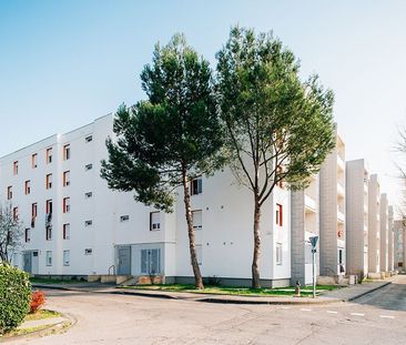 Type 3 - CAVAILLON - DOCTEUR AYME - Photo 1