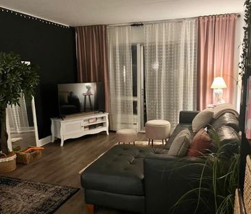 Appartement 3 1/2 Limoilou, Gros chiens acceptés, (955$/ mois) - Photo 2