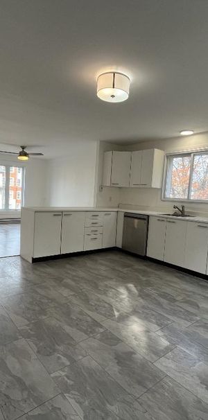 Beau grand 4 et demi lumineux et tranquille - Photo 1