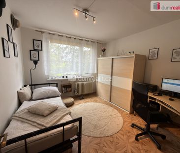 Pronájem bytu 4+1 12 m² - Photo 3