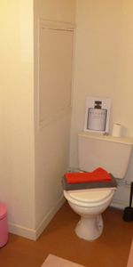 Location Appartement 1 pièce 17m² GRENOBLE 38000 - Photo 4