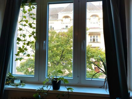 Helle 40m2 Altbauwohnung Zwischenmiete 15.01 - 15.03.2026 - Photo 2