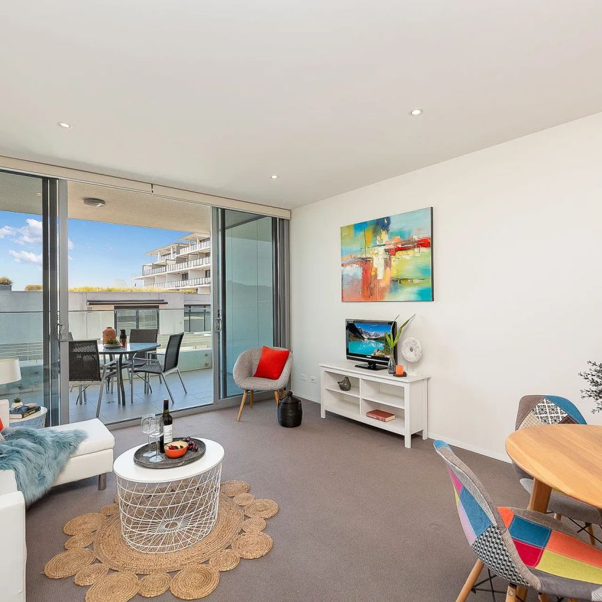 Stunning Foreshore Apartment in Iconic Lakefront Development - Photo 1