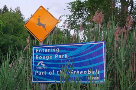 For Lease - 7439 Kingston Road Unit# 1012, Toronto, Ontario - Photo 5