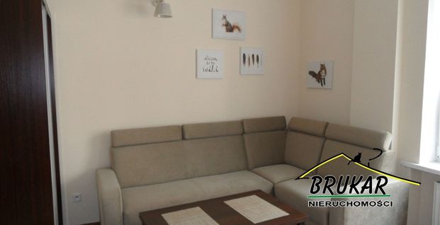 Opole, Centrum Mieszkanie na wynajem - Photo 1