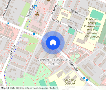 Duże mieszkanie na parterze do wynajęcia - Zdjęcie 1