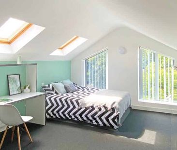 Standard Studio - Photo 5