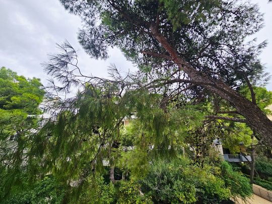 Διαμέρισμα για ενοικίαση Εθνικιστών και Αναπήρων Πολέμου (Νέα Ερυθραία) - Photo 1