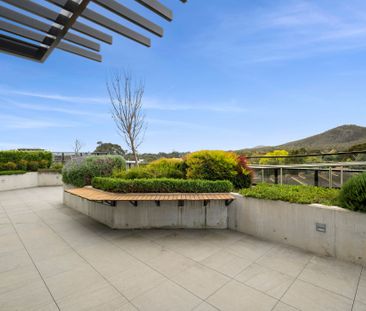 108/83 Cooyong Street, Reid ACT 2612 - Apartment For Rent | Domain - Photo 2