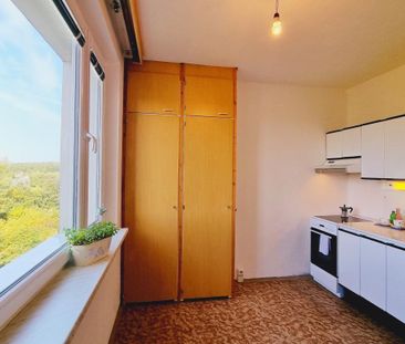 Pronájem bytu 1+1 39 m2 - Fotografie 4