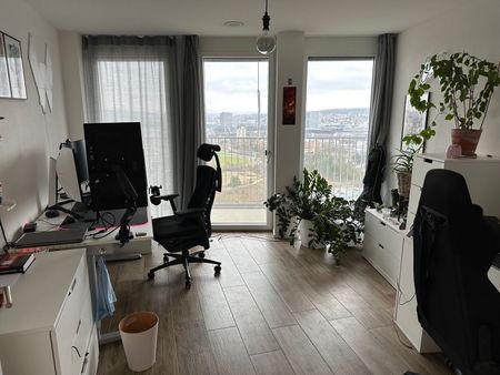 APPARTEMENT 31/2 PIÈCES À DÜBENDORF (ZH), MEUBLÉ, TEMPORAIRE - Foto 5