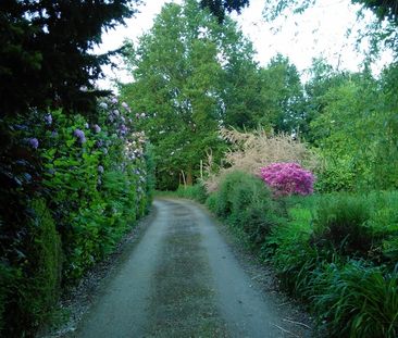 Cozy Chalet stijl hoeve op 1,5 hectare bos + weiland - Foto 5