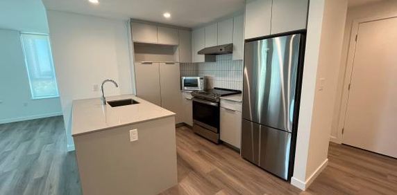 2BR/2BA TRANSIT/PET FRIENDLY - Photo 2