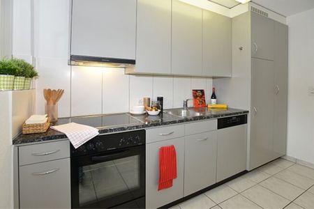 3-room apartment in the countryside Rent without deposit - Photo 3