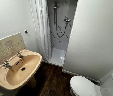 1 Bed Flat 105 Fosse Road South Leicester LE3 - Ace Properties - Photo 2