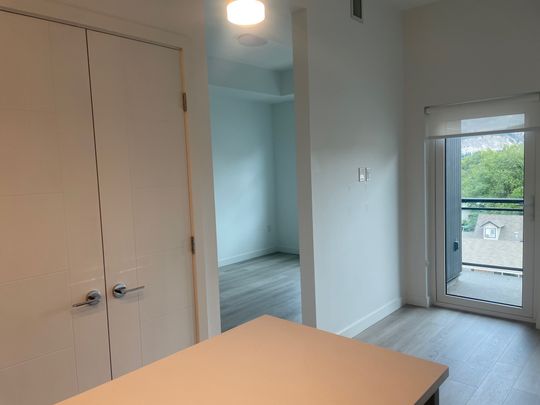 Top Floor New 1 Bedroom Near Downtown - Photo 1