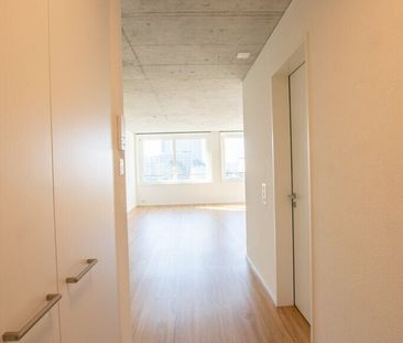 Moderne 2.5 ZWG avec immense terrasse partagée sur le toit - Foto 4