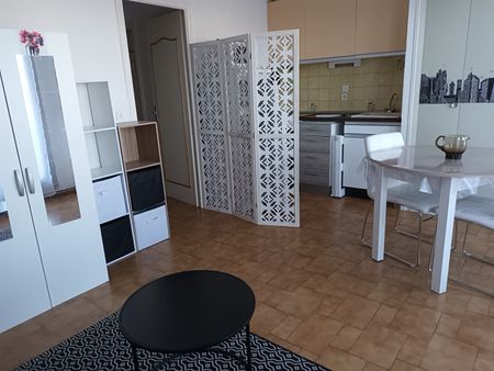 Location Appartement 1 pièce 22m² - Photo 4