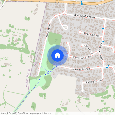 33 Culverdon Street, Dinsdale, Hamilton City