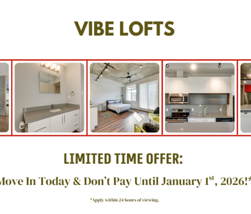 Vibe Lofts - Photo 2