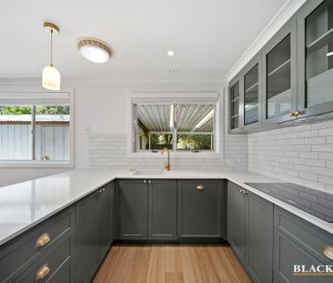 29 Charles Street, Queanbeyan NSW 2620 - House For Rent | Domain - Photo 4