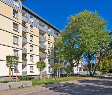 3-Zimmer-Wohnung in Essen Freisenbruch - Photo 2