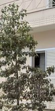 Διαμέρισμα για ενοικίαση - Αγία Βαρβάρα, - Φωτογραφία 1