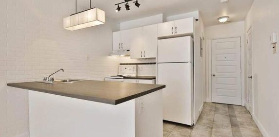 1 CH - 1 SDB - Montréal - $1,295 /mo - Photo 2