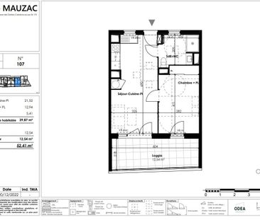 Appartement T2 CASTELNAU-LE-LEZ à louer - Photo 1