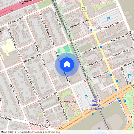 105 Champagne Avenue, Dows Lake - Civic Hospital And Area