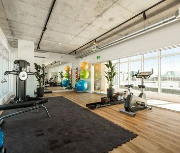 Mostra Maisonneuve apartments for rent in Montreal - Photo 1