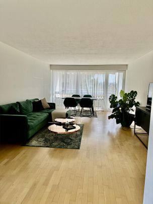 Wohnen inmitten der Rebbergen mit Blick über Zürich - Photo 1