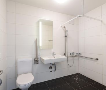 Singlewohnung über den Dächern der Altstadt - Foto 2