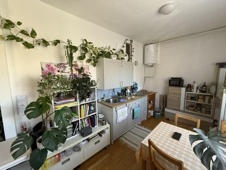 Prov-Frei - Dreihackengasse, nette Großgarconniere inkl. Küche zu vermieten nach Absprache - Photo 2