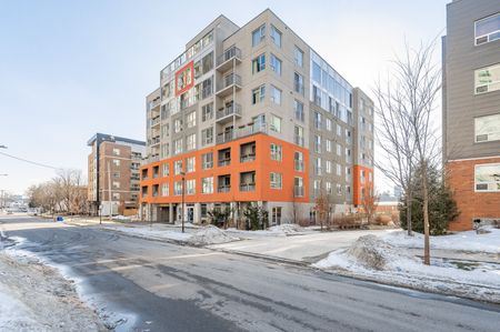 For Lease - 321 Spruce Street Unit# 207, Waterloo, Ontario - Photo 2