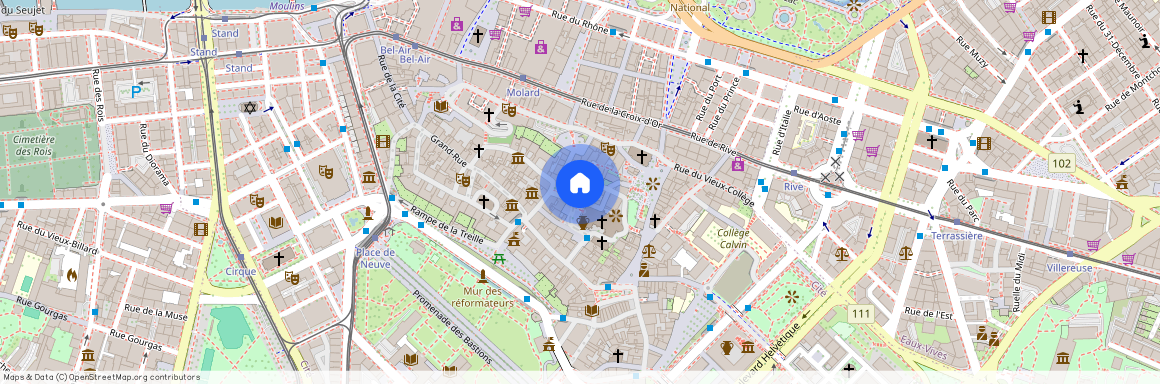 Cour de Saint-Pierre, 1204 Genève