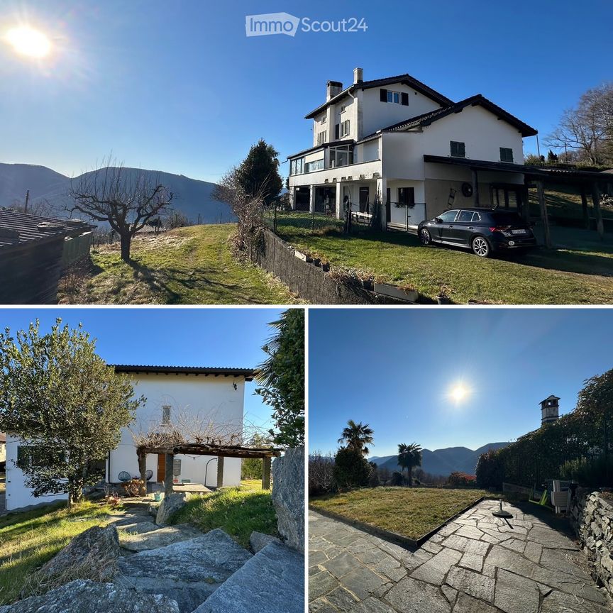 3 Zimmer, 40 m² - Photo 1