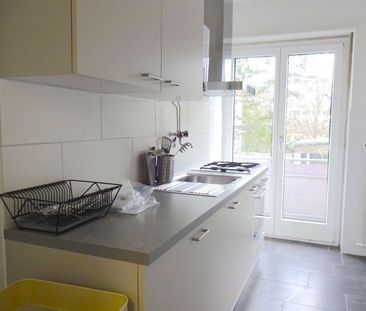 Vince #2 - Foto 4