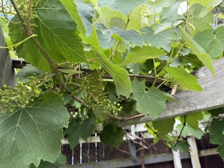 Prime Location! Easy access to all you could need! - Photo 3