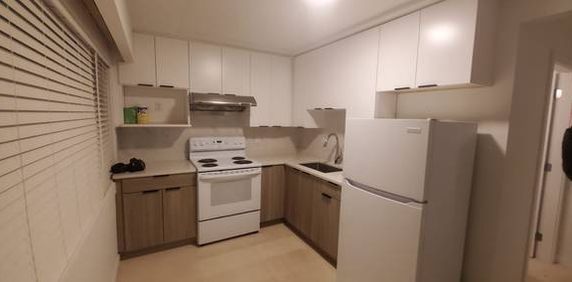 1 BEDROOM SUITE NEAR BCIT BURNABY - Photo 2