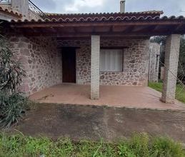 Μονοκατοικία για ενοικίαση - Νέα Μάκρη - Photo 6