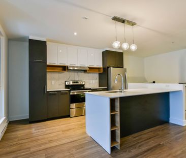 9675 Av. Papineau - Photo 5