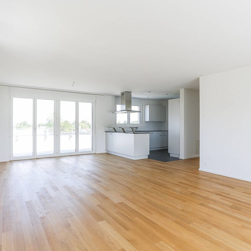 Attikawohnung mit Ruhe und Komfort - Photo 1