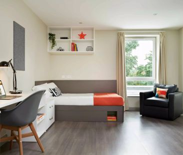 Bronze Studio - Photo 3