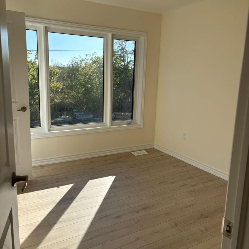 For Lease - 331 LINDSAY Street, Kawartha Lakes, Ontario - Photo 1