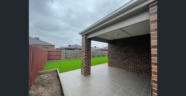 In The Heart Of Harkness - Photo 1