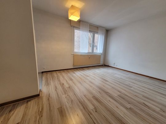 Location Appartement 1 pièce 26m² STRASBOURG 67000 - Photo 1