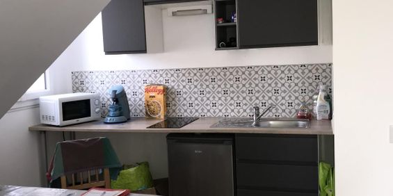 Location Appartement 1 pièce 28m² GIF SUR YVETTE 91190 - Photo 3