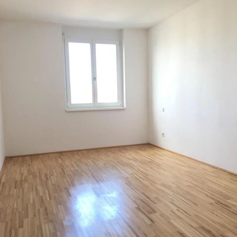 HELL! WESTBLICK! LOGGIA! 2 ZIMMER! U4+U6 Längenfeldgasse - Foto 1