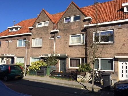 Te huur: Kamer Pioenroosstraat in Eindhoven - Foto 5